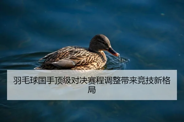 羽毛球国手顶级对决赛程调整带来竞技新格局